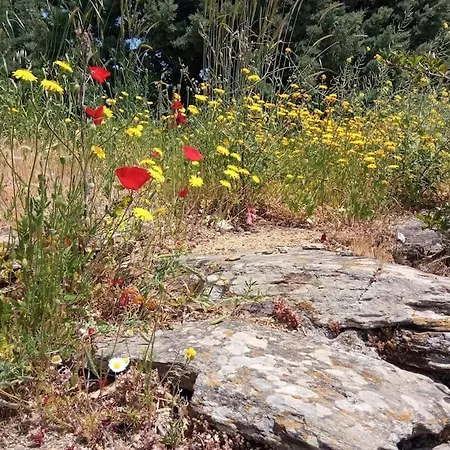 Holiday home Veloni Andros